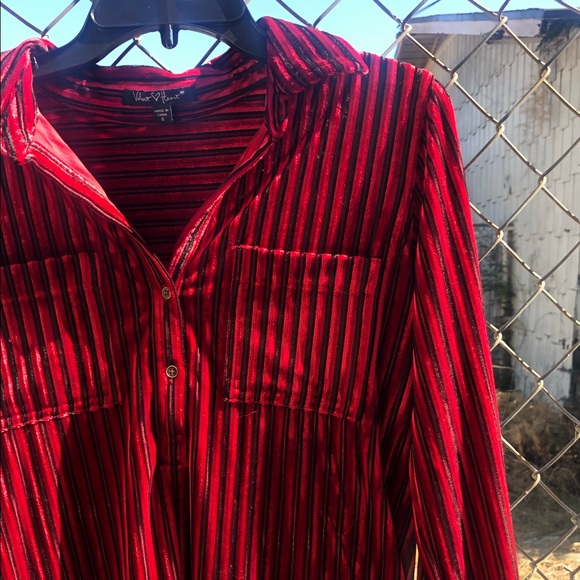 Velvet Pinstripe Blouse 🧯 - Picture 5 of 8